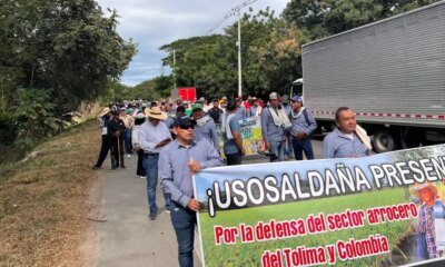 Paro ArroCero en Colombia Hoy 17 de Julio