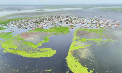 Invasión de Plantas Acuticas ame