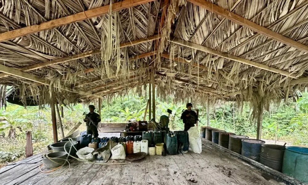 Producía Droga Avaluada EN 1.265 MILLONES DE PESOS; Operaciones de Armada