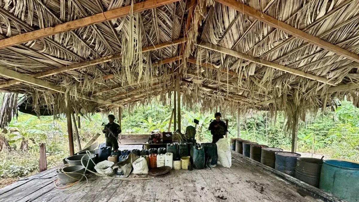 Producía Droga Avaluada EN 1.265 MILLONES DE PESOS; Operaciones de Armada