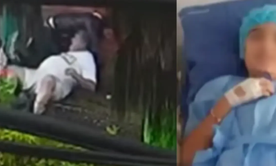 Dueño del animal denunció amenazas