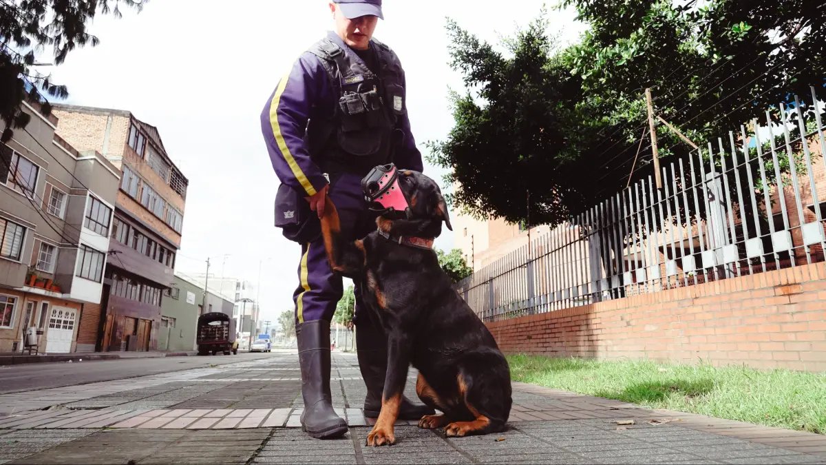 Secretaría de Salud Renuncia a la Seguridad Canina para proteger el Bienestar Animal