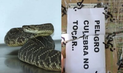 Le Pusieron Letrero de Advertencia a la Caja