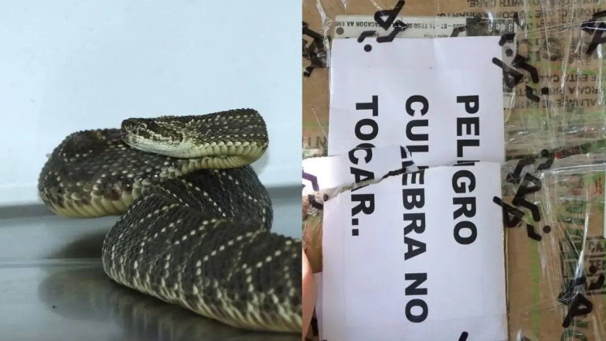 Le Pusieron Letrero de Advertencia a la Caja