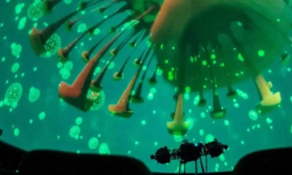 Tiene 8 Sesiones; este es su precio y el horario que maneja