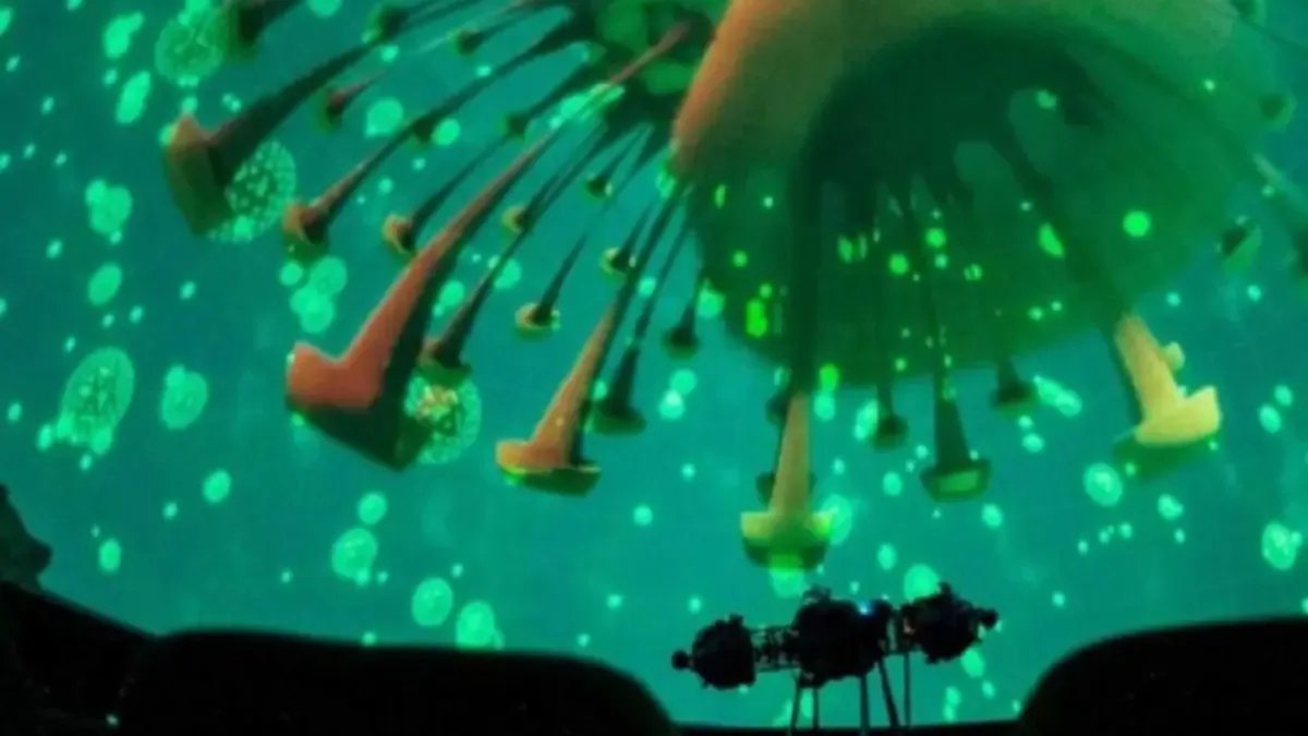 Tiene 8 Sesiones; este es su precio y el horario que maneja