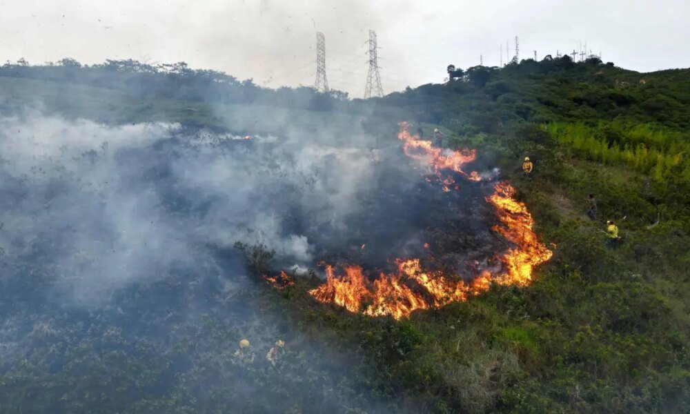 Arde el Cerro de Las Tres Cruces de Cali: Bomberos Luchan Contra Nuevo Incendio Forestal; La Alcaldía Restringió el Ascenso por Los Riesgos