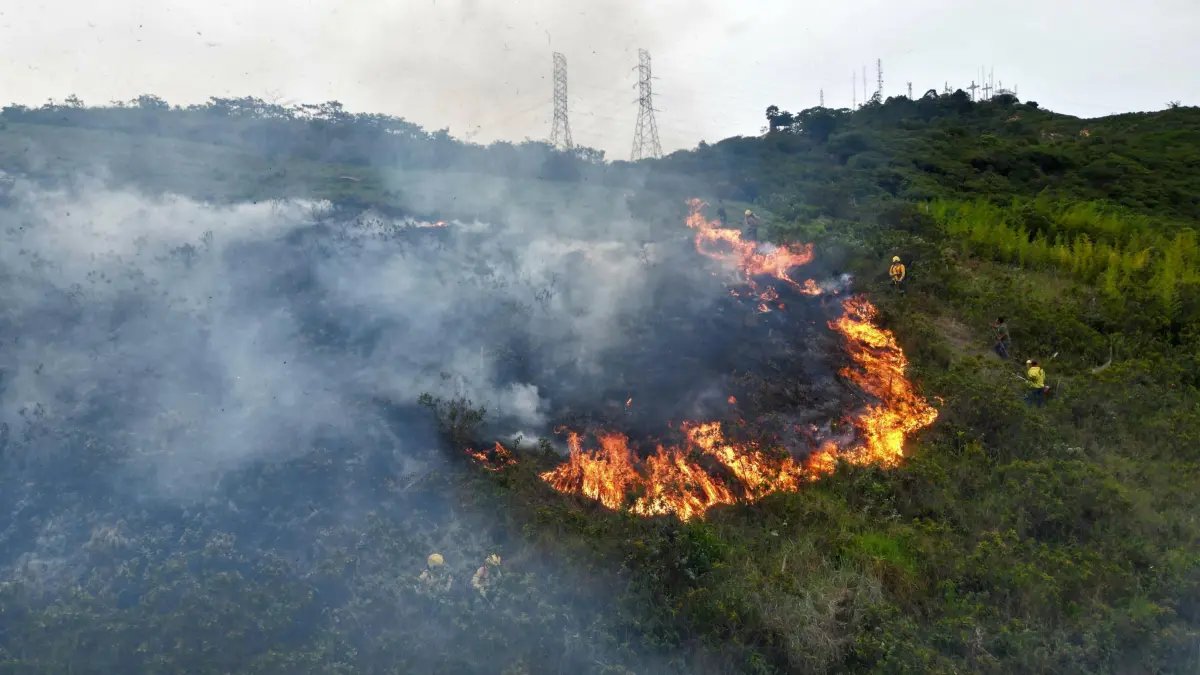 Arde el Cerro de Las Tres Cruces de Cali: Bomberos Luchan Contra Nuevo Incendio Forestal; La Alcaldía Restringió el Ascenso por Los Riesgos
