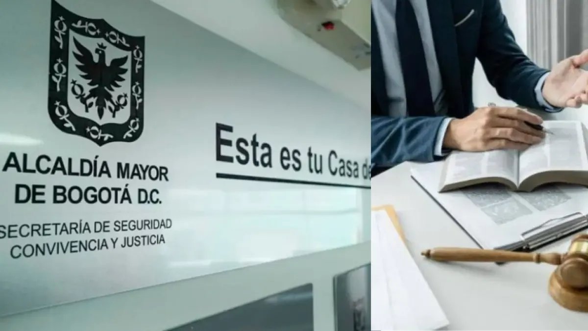 Así Pueden Acceder Los Ciudadanos