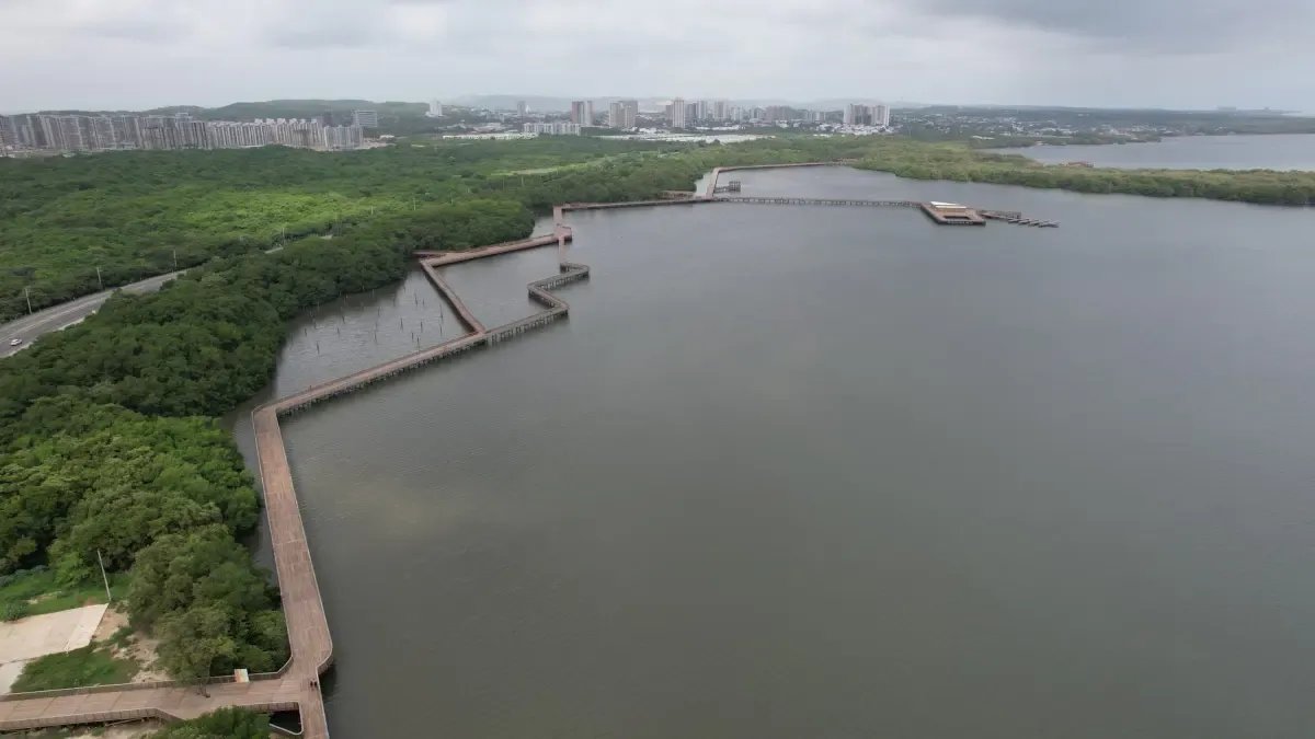 Barranquilla se une al día internacional de la defensa del manglar con la siembra de 200 plánntulas de mangle rojo
