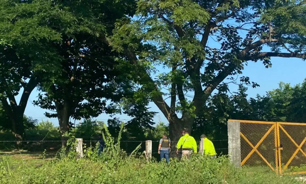 Allanan Finca en la Zona Bananera: 20 Piscinas Dedicadas a la Piscicultura operaban con energía de contrabando