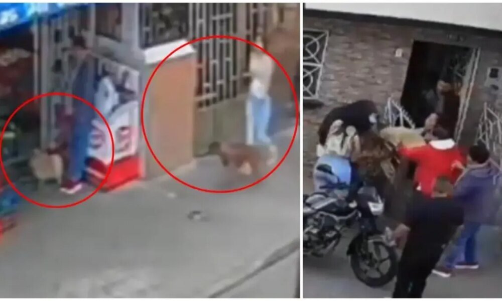 Mujer de la Tercera Edad es Atacada Junto A Su Pequeño Perro Por Un Pitbull en El Norte de Bogotá
