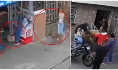Mujer de la Tercera Edad es Atacada Junto A Su Pequeño Perro Por Un Pitbull en El Norte de Bogotá