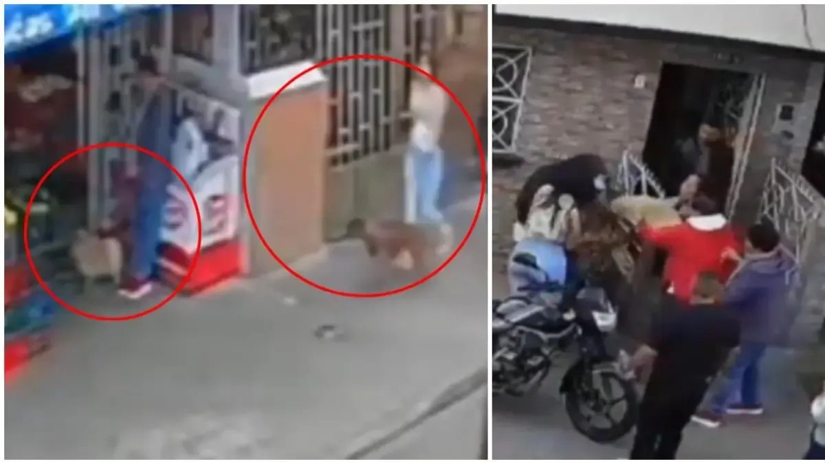 Mujer de la Tercera Edad es Atacada Junto A Su Pequeño Perro Por Un Pitbull en El Norte de Bogotá