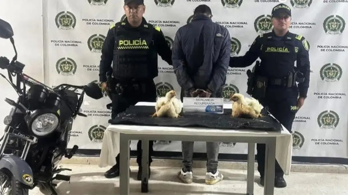 ¿Qué le Espera en Su Proceso?