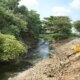 Inicia la Limpieza de 4 Kilómetro del Arroyo León para Prevenir Inundaciones y Recuperar El Ecosistema