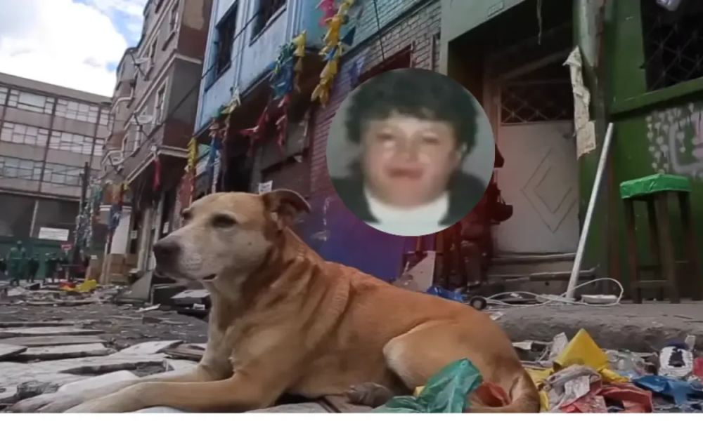 Destapan todo lo que sucedió durante siete años en bogotá