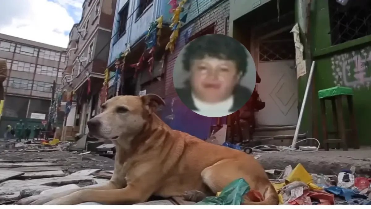 Destapan todo lo que sucedió durante siete años en bogotá