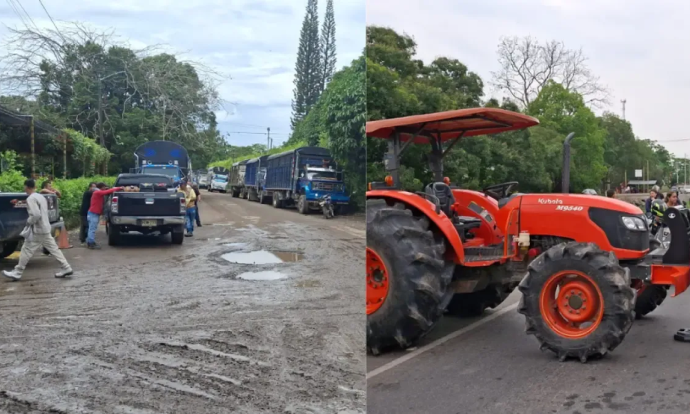 Empresario Molineros Aseeguran que no es Cierto que no les Estén RecibiDo El Arroz A Productores en el Meta