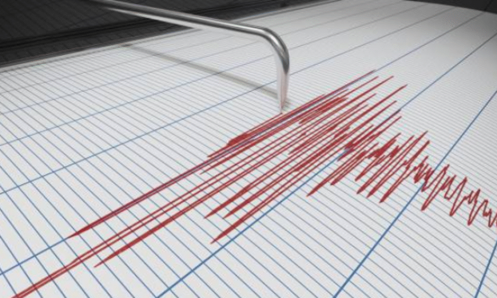 Sismo de Magnitud 4,8 SE Registro en El Océano Pacífico Frente a la Costa de Ecuador