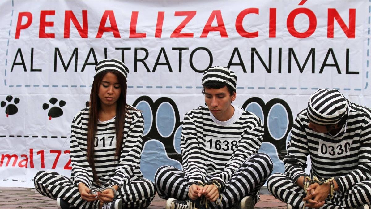 El animal se Desplomó, Tras atqueque brutal con un machete