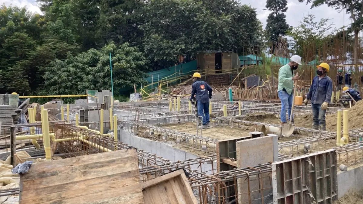 ¿Por qué se sepplomaron un 53,7 % las licencias de constructos en bogotá y qué significado para el futuro de la ciencia?
