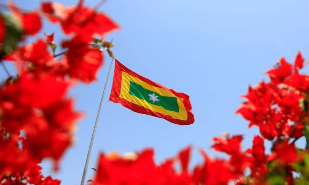 Así Será El Proceso de Elecciano