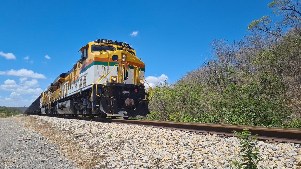 Niña Wayúu que iba en Busca de Agua A Lomo de Burro Muele Arrollada Por Tren de Cerrejón