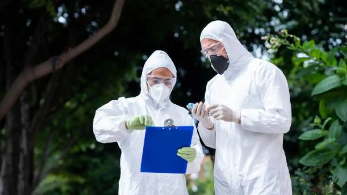 En Timbío, Cauca, Autoridadadas Investigador El Asesinato de un hombre que viajó desde cali para asistir a las fiestas de verano: este se sabe