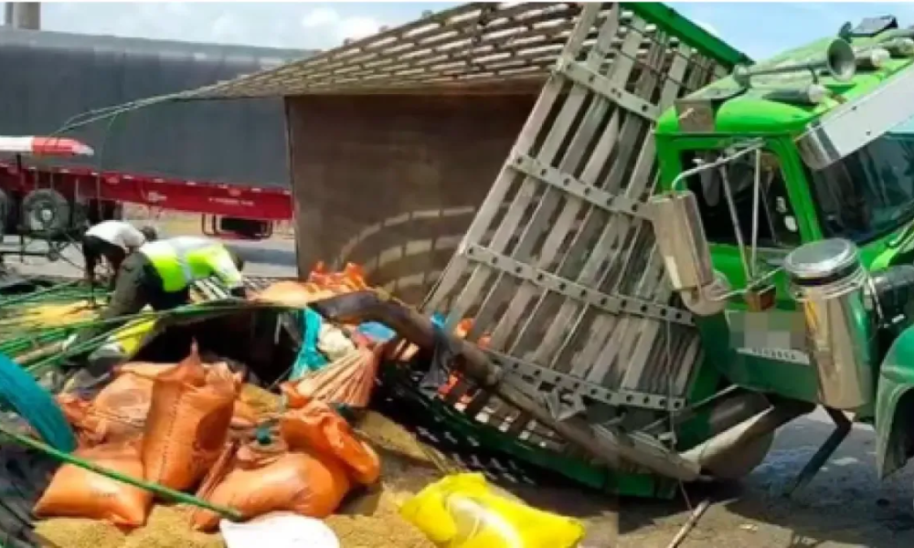 Ladrón Muere Aplastado Al Volcarse Camión Robado Con Comida para Animales