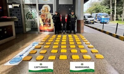 CAPTURADO EN TERMINAL DE BOGOTÁ UN CIADANO EXTANJERO QUE TRANSPORTABA KILOS DE MARIHUANA CON Destino A Cali