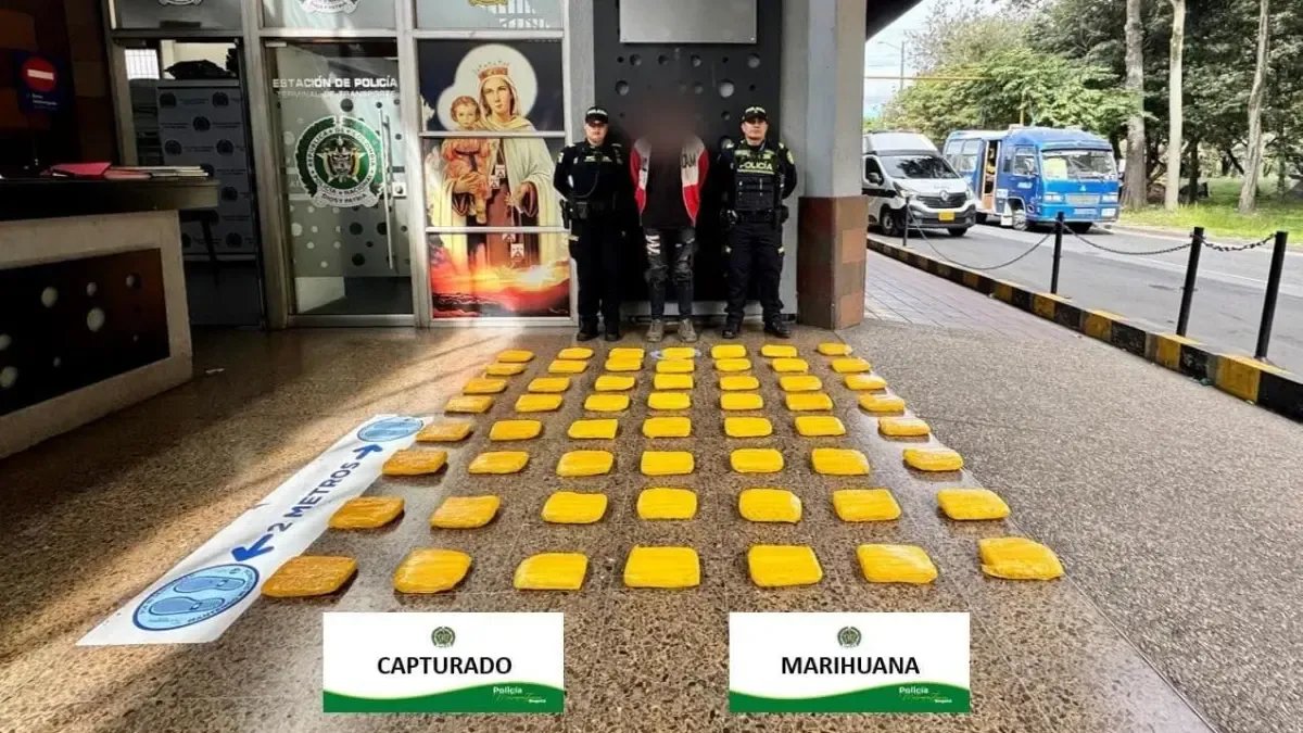 CAPTURADO EN TERMINAL DE BOGOTÁ UN CIADANO EXTANJERO QUE TRANSPORTABA KILOS DE MARIHUANA CON Destino A Cali