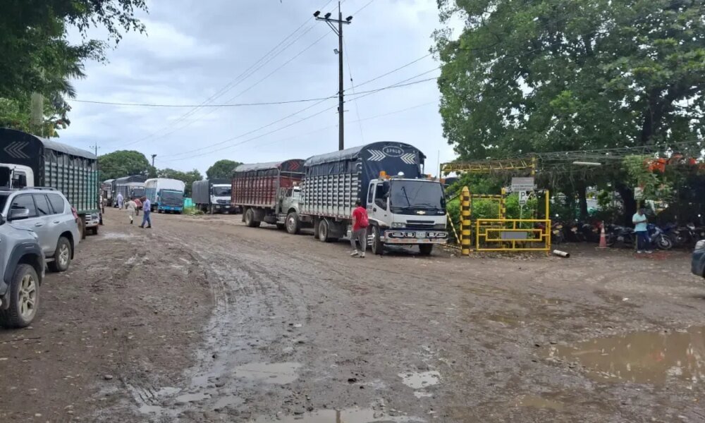 Productores de Arroz Denuncian Que los Molineros Cerraron Sus Puertas y No Les Reciben El Cereal A Los Agricultores en el Meta