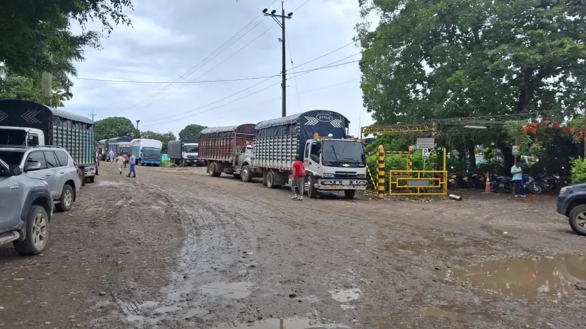 Productores de Arroz Denuncian Que los Molineros Cerraron Sus Puertas y No Les Reciben El Cereal A Los Agricultores en el Meta