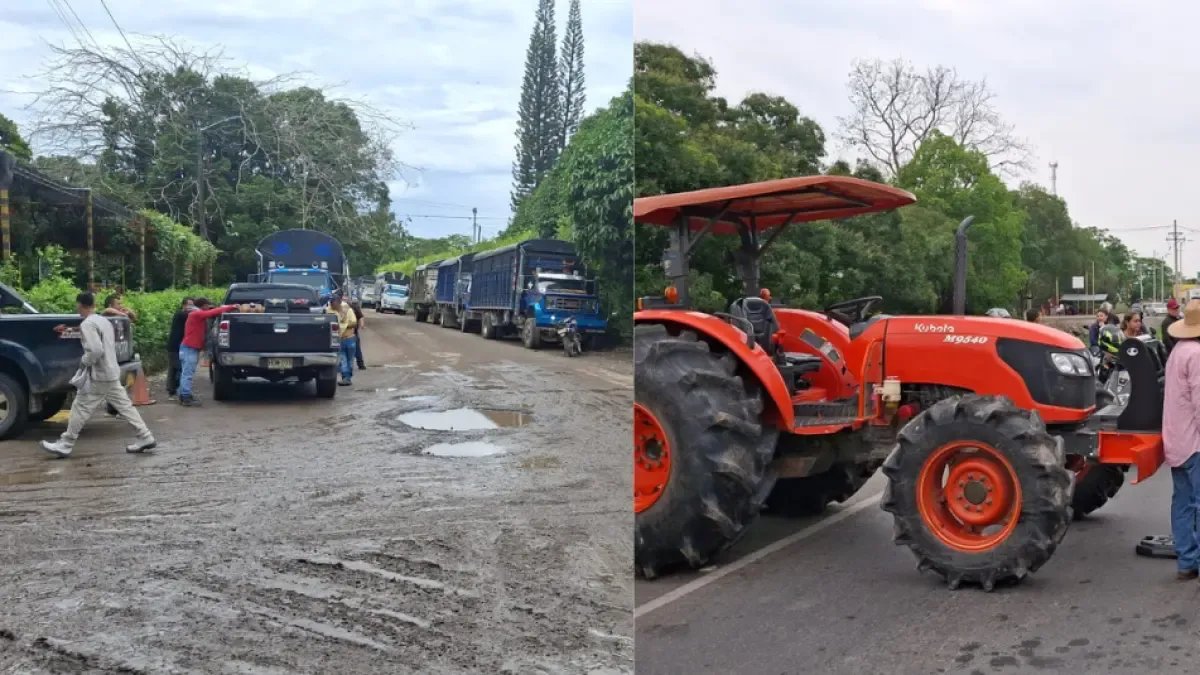 Empresario Molineros Aseeguran que no es Cierto que no les Estén RecibiDo El Arroz A Productores en el Meta