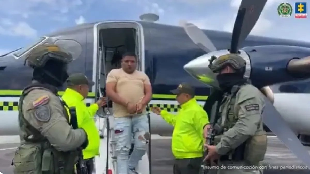 Los contactos por seses sesiales