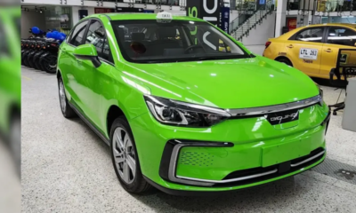 SE Caracterizan Porque Su Color no es Amarillo como las convenciones