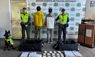 CiADANOS Chinos Fueron detenidos con estupefacientes en el Aeropuerto José María Córdova de Rionegro; una canina antinarcótica los detectó