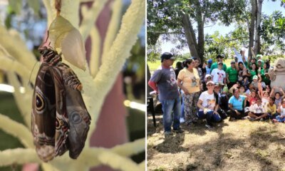 La Historia de Resiliencia de Un corregimiento que Hoy se Levanta Con Un EmpRendimiento