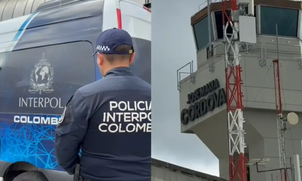 Cuatro Extranjeros inadmitidos y 48 alertas migratorias