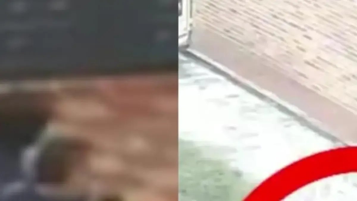 ¿Cuál es la condena que pude enfrentar el menor sicario que disparó contra miguel uribe turbay?