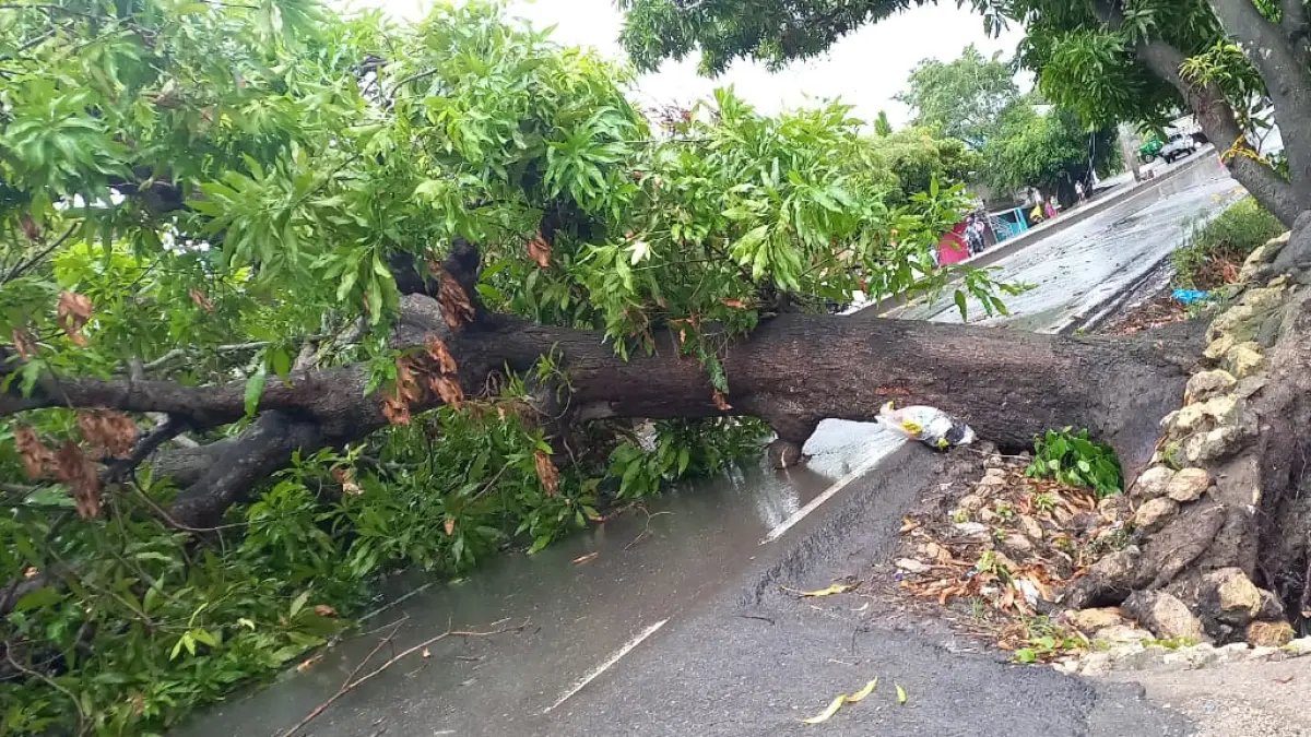 Emergencias en sucre por lluvias dejan más de 500 Familias Damnificadas