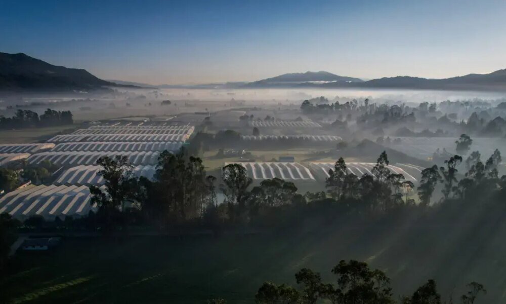 Ministerio de Agricultura Expide Polémicos Lineamientos Sobre el Uso del Sueelo en El Municipio de Sopó, en la Sabana de Bogotá