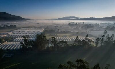 Ministerio de Agricultura Expide Polémicos Lineamientos Sobre el Uso del Sueelo en El Municipio de Sopó, en la Sabana de Bogotá