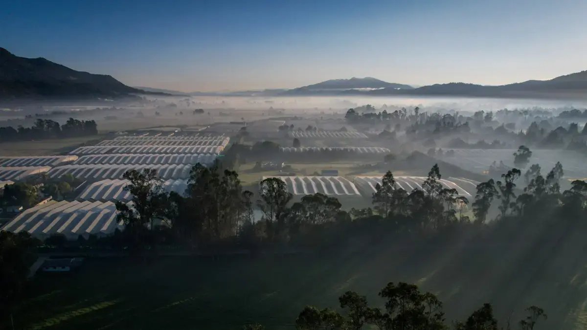 Ministerio de Agricultura Expide Polémicos Lineamientos Sobre el Uso del Sueelo en El Municipio de Sopó, en la Sabana de Bogotá