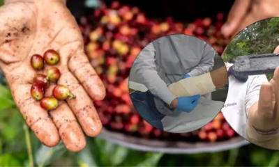 'Ya Estaba Envuelto en Llamas'