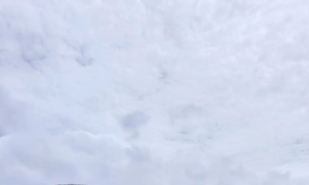 Fundación PSG, Un Sueño que convierte Sueños en Cerezas