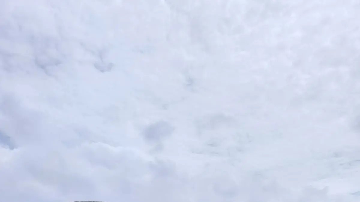 Fundación PSG, Un Sueño que convierte Sueños en Cerezas