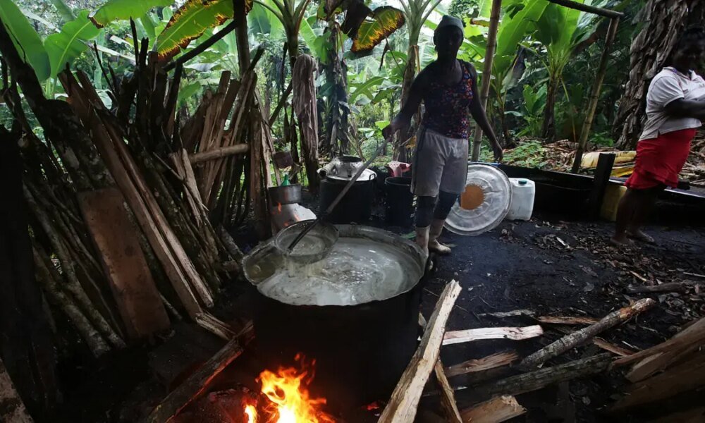 Viche, de la Ancestralidad a la Felicidad en el Petronio Álvarez
