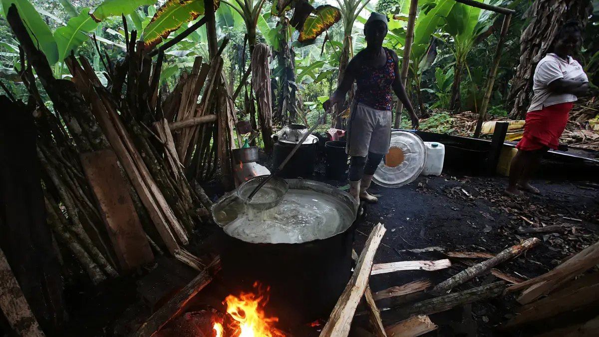 Viche, de la Ancestralidad a la Felicidad en el Petronio Álvarez